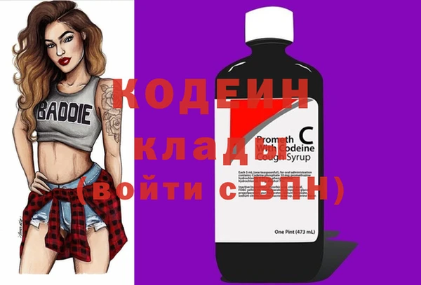 молекула духа Бежецк