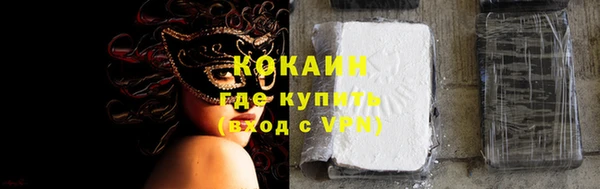 трава Наволоки