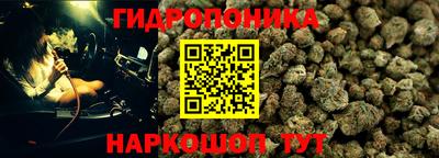 стафф Балаково