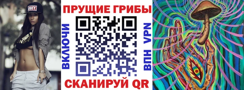 Псилоцибиновые грибы Magic Shrooms  Черняховск 
