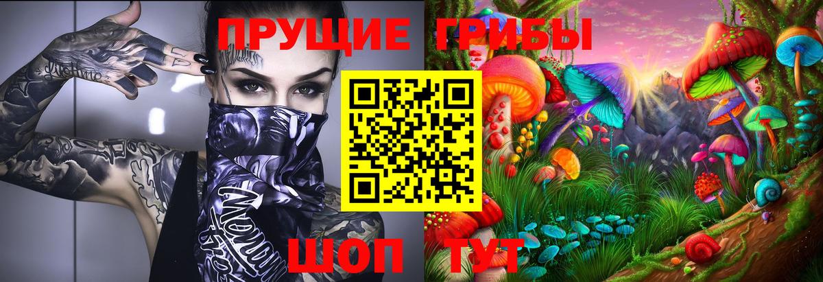 Галлюциногенные грибы Psilocybine cubensis Черняховск