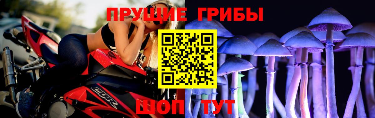 Галлюциногенные грибы GOLDEN TEACHER Черняховск